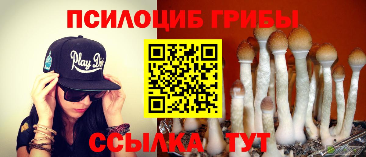 Минусинск  Псилоцибиновые грибы ЛСД  Вход с VPN 